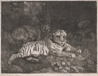 Een Tijger en een Slapende Luipaard