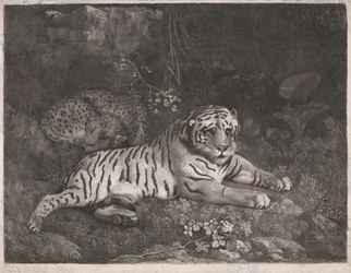 Een tijger en een slapend luipaard