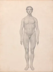 Menselijke figuur, vooraanzicht, ongesneden (Voltooide studie voor Tafel VI)
