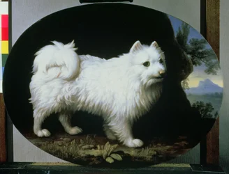 Portret van de witte schoothond van mevrouw French, 1782