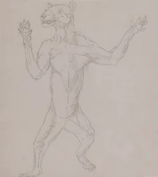 Studie van een tijger, staand in menselijke houding, uit Een vergelijkende anatomische expositie van de structuur van het menselijk lichaam met die van een tijger en een gewone vogel, 1795-1806