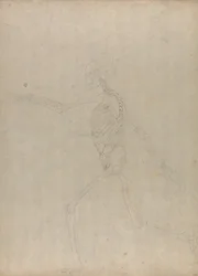 Studie van het Menselijk Lichaam, Laterale Weergave, uit Een Vergelijkende Anatomische Expositie van de Structuur van het Menselijk Lichaam met die van een Tijger en een Gewone Vogel, 1795-1806