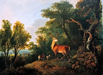 Een hert en drie hinden in een boslandschap