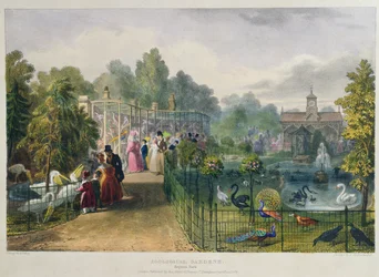 De Volière in de Dierentuin, Regents Park, gegraveerd en uitgegeven door de kunstenaar, gedrukt door Charles Hullmandel, 1836