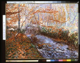 De Briante rivier (bosinterieur in de herfst)