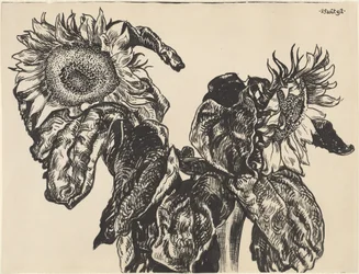 Zonnebloemen