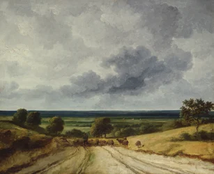 Weg op het platteland