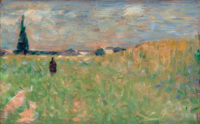Een zomers landschap