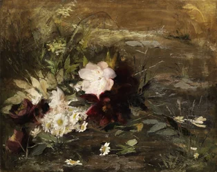 Dutch: Seerosen bloemen en Margrieten op de wal