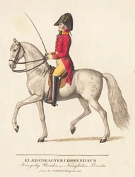 Koninklijke ruiter