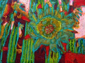 San Pedro Cactus Bloem, 2013