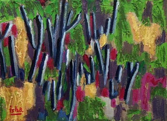 Lente Saguaros