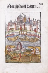 Agrippina van Coellen