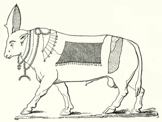 Apis, heilige stier van het oude Egypte