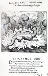 Zoals de Salamander in vuur leeft, zo ook de Steen, Embleem XXIX uit Atalanta fugiens door Michael Maier, 1617