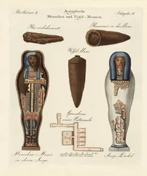 Egyptische mummies