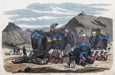 Laden van olifanten voor de reis van meneer Bock naar Dresden. Uit 