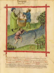 Vissen naar paling, uit Tacuinum Sanitatis