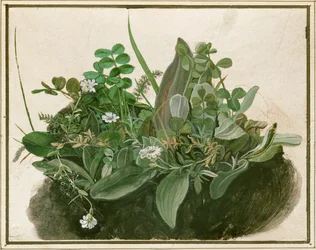 Klein graspolletje (aquarel, tempera en penseel op perkament gemonteerd op karton)
