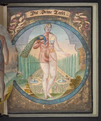 Tabellen die de mens in drie verschillende staten vertegenwoordigen