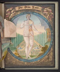 Tabellen die de mens in drie verschillende staten vertegenwoordigen, Add MS 5788