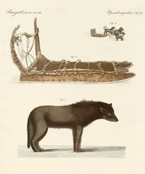 De hond van de Baffinbaai