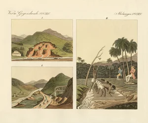 De edelsteenmijnen in Brazilië (gekleurde gravure)