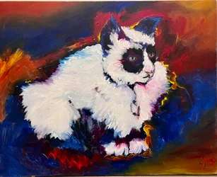 Bungee de kat