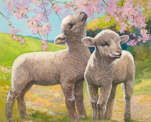 Twee lammetjes eten bloesem (gouache op papier)