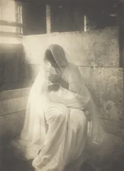De kribbe, 1899