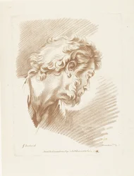 Kop van man met baard naar rechts