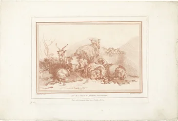 Liggende schapen en geit
