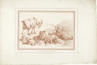 Liggende schapen met lammeren en geit met jongen