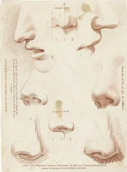 Studieblad met neuzen en monden
