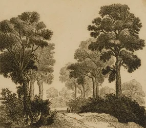 Landschap