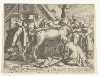 Het wassen van de ezel