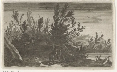 Landschap bij nacht