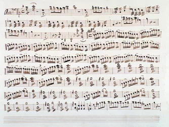 Pagina van vioolmuziekpartituur voor een symfonie