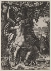 Angelica en Medoro