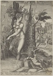 Venus en de roos