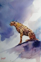 Cheetah op een rots