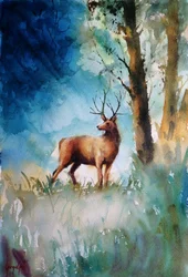 Herten in het mistige bos