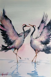 De gracieuze kraanvogeldans