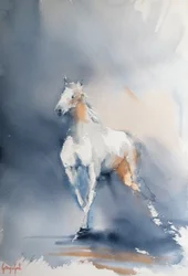 Majestueuze paardenbeweging