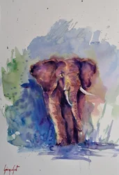 Majestueuze olifant in aquarel