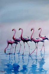 Roze flamingo’s waden