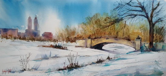 De brug in het besneeuwde stadspark