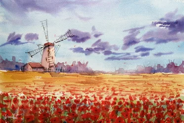 Levendig papaverveld bij de windmolen
