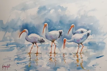 Weerspiegelingen van de witte ibis