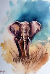 Wilde Afrikaanse olifant